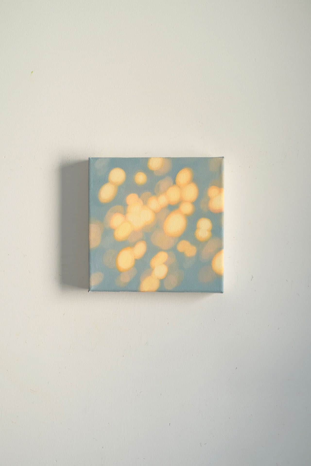 Texture & Light Oil Painting Series – Misty Lake Light Nian San