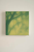 Texture & Light Oil Painting Series – Dancing Branches Nian San