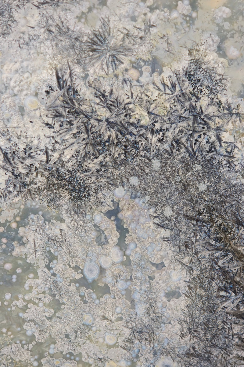 High-Temperature Glaze Ceramic Painting –Hidden Lotus (Original 1/1) Xianyue Lee