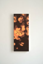 Texture & Light Oil Painting Series –Shadows Drifting into a Dream Nian San