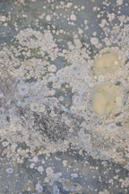 High-Temperature Glaze Ceramic Painting –Hidden Lotus (Original 1/1) Xianyue Lee