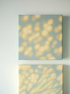 Texture & Light Oil Painting Series –Tender Little Moments Nian San