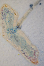 High-Temperature Glaze Ceramic Painting –Hidden Lotus (Original 1/1) Xianyue Lee