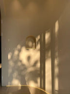 Texture & Light Oil Painting Series – Nian San