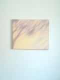 Texture & Light Oil Painting Series – The Sound of Wind Nian San
