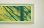 Texture & Light Oil Painting Series –Listening to the Wind Nian San