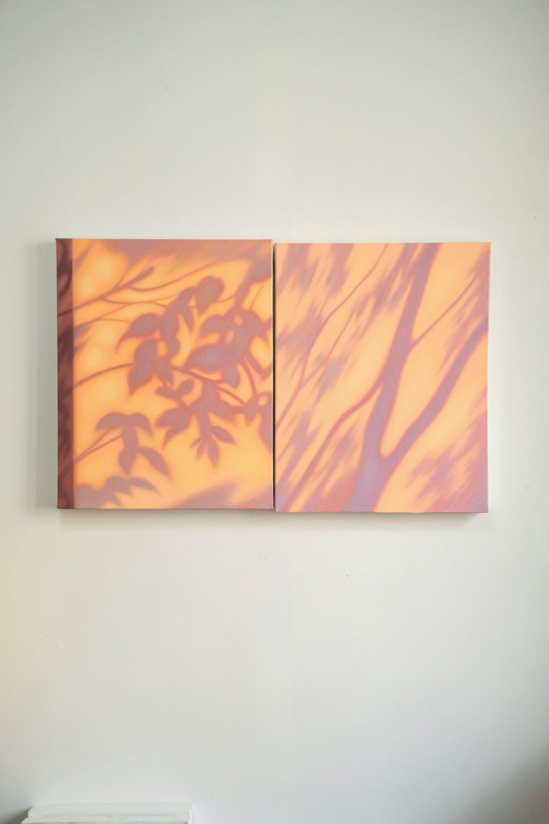 Texture & Light Oil Painting Series –Evening Shadows in Bloom Nian San