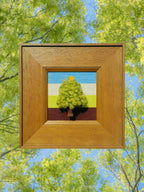 Four Season of a Tree Fiber Art Good Monica