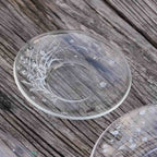 Snow White Dream Shi Yu