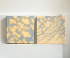 Texture & Light Oil Painting Series –Tender Little Moments Nian San