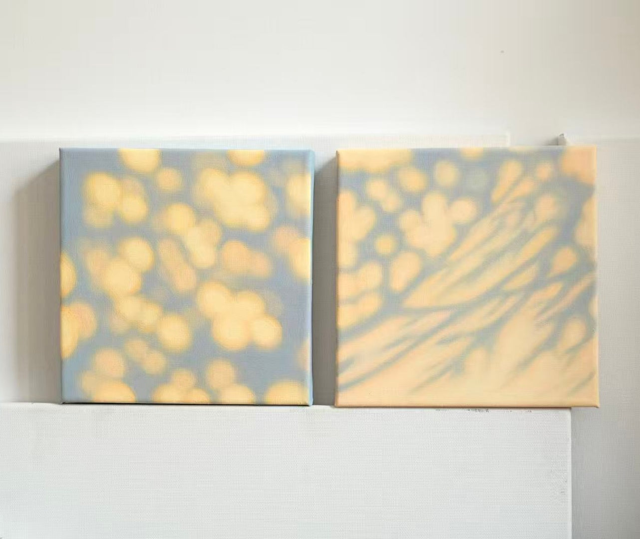 Texture & Light Oil Painting Series –Tender Little Moments Nian San