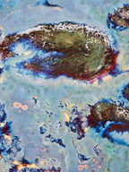 High-Temperature Glaze Ceramic Painting –Water Lily V (Original 1/1) Xianyue Lee