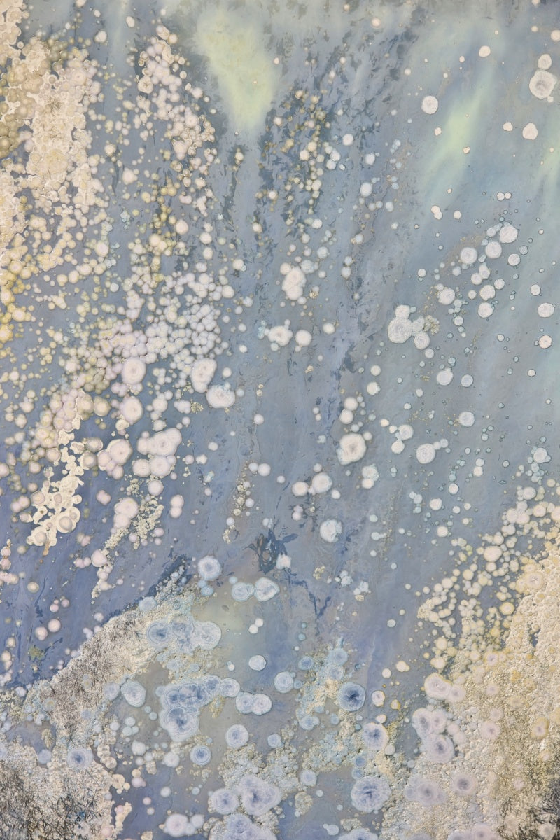 High-Temperature Glaze Ceramic Painting –Ethereal Lotus (Original 1/1) Xianyue Lee