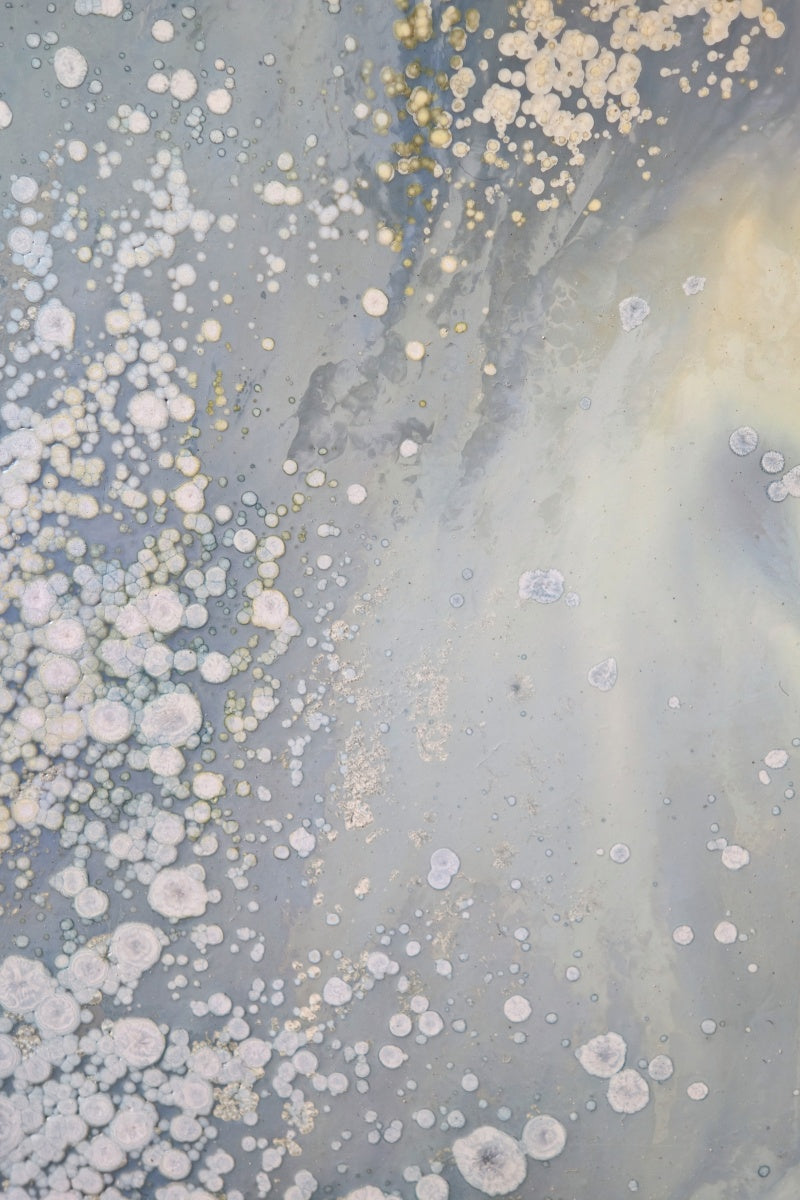 High-Temperature Glaze Ceramic Painting –Ethereal Lotus (Original 1/1) Xianyue Lee