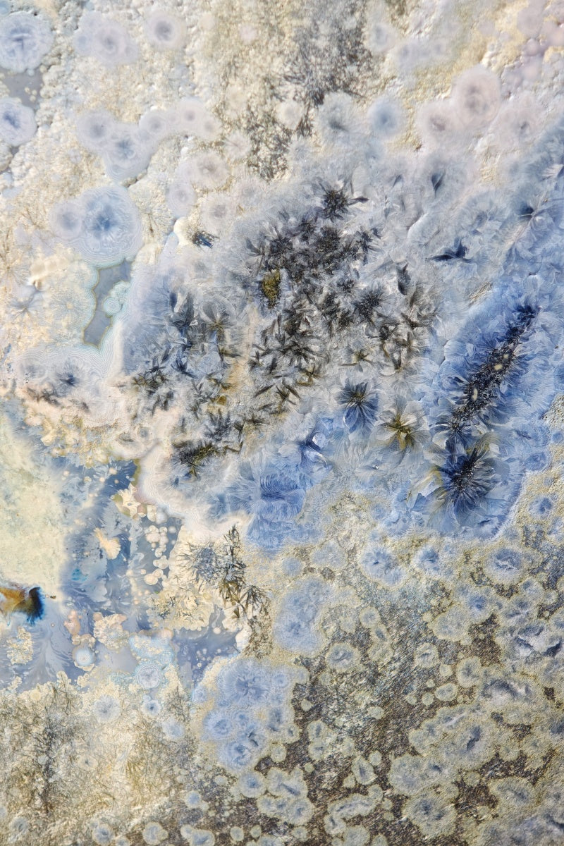 High-Temperature Glaze Ceramic Painting –Ethereal Lotus (Original 1/1) Xianyue Lee