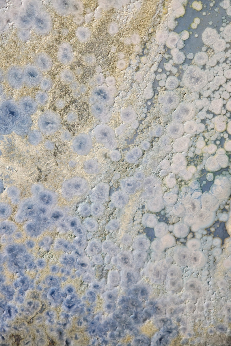 High-Temperature Glaze Ceramic Painting –Ethereal Lotus (Original 1/1) Xianyue Lee