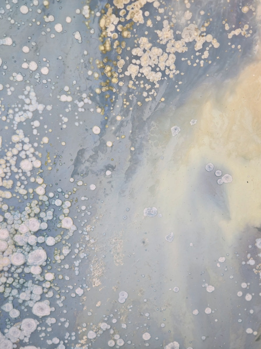 High-Temperature Glaze Ceramic Painting –Ethereal Lotus (Original 1/1) Xianyue Lee