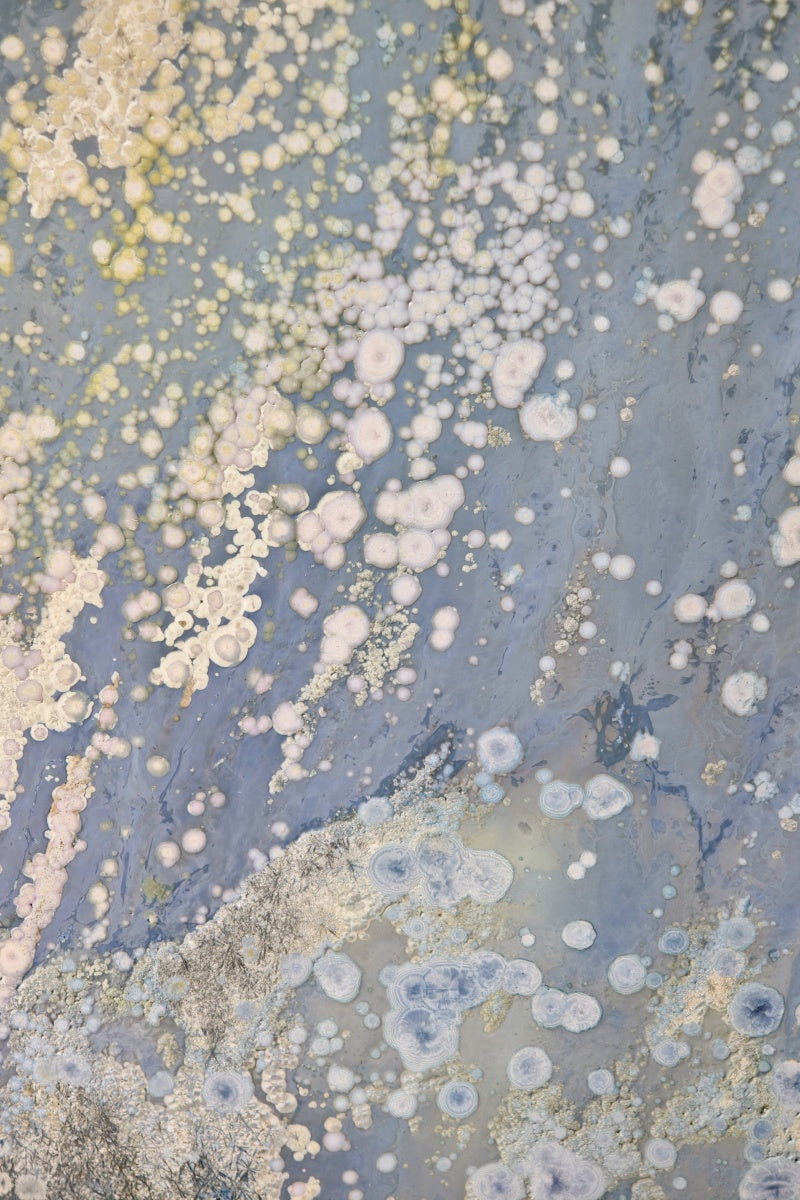 High-Temperature Glaze Ceramic Painting –Ethereal Lotus (Original 1/1) Xianyue Lee
