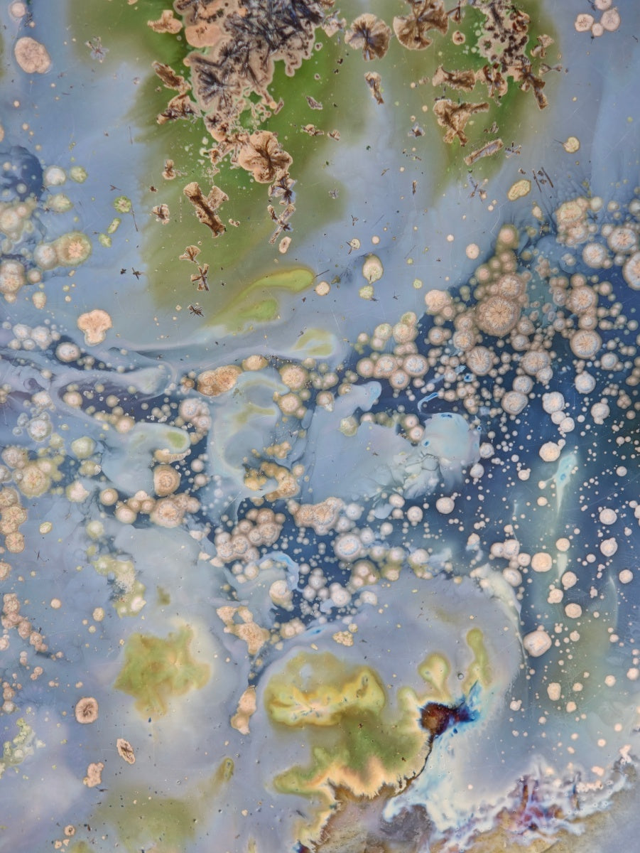 High-Temperature Glaze Ceramic Painting –Lotus in the Breeze I (Original 1/1) Xianyue Lee