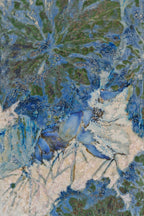 High-Temperature Glaze Ceramic Painting –Lotus in the Breeze I (Original 1/1) Xianyue Lee