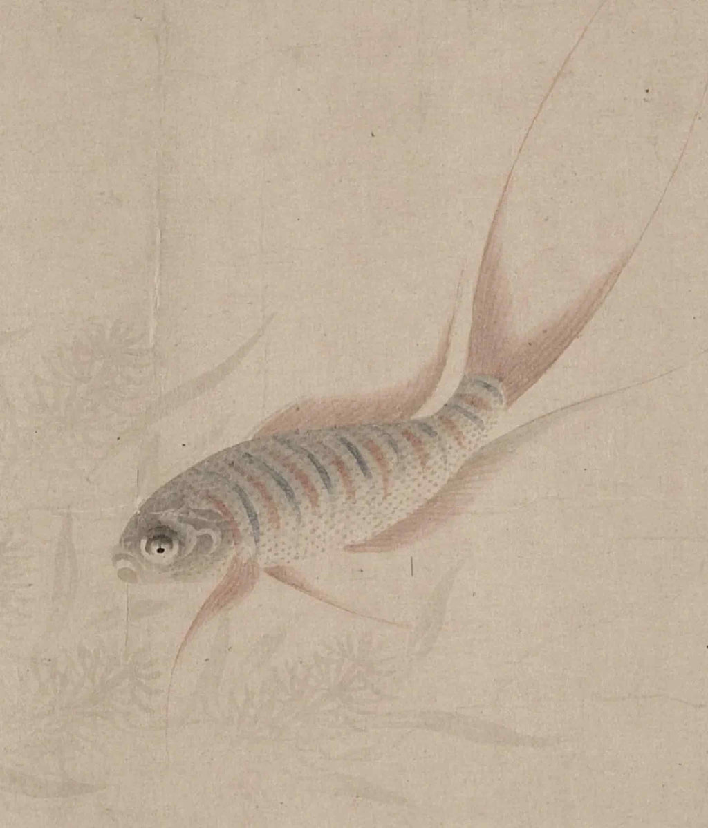 Fish Joy Glassware by ShiYu ShiYu