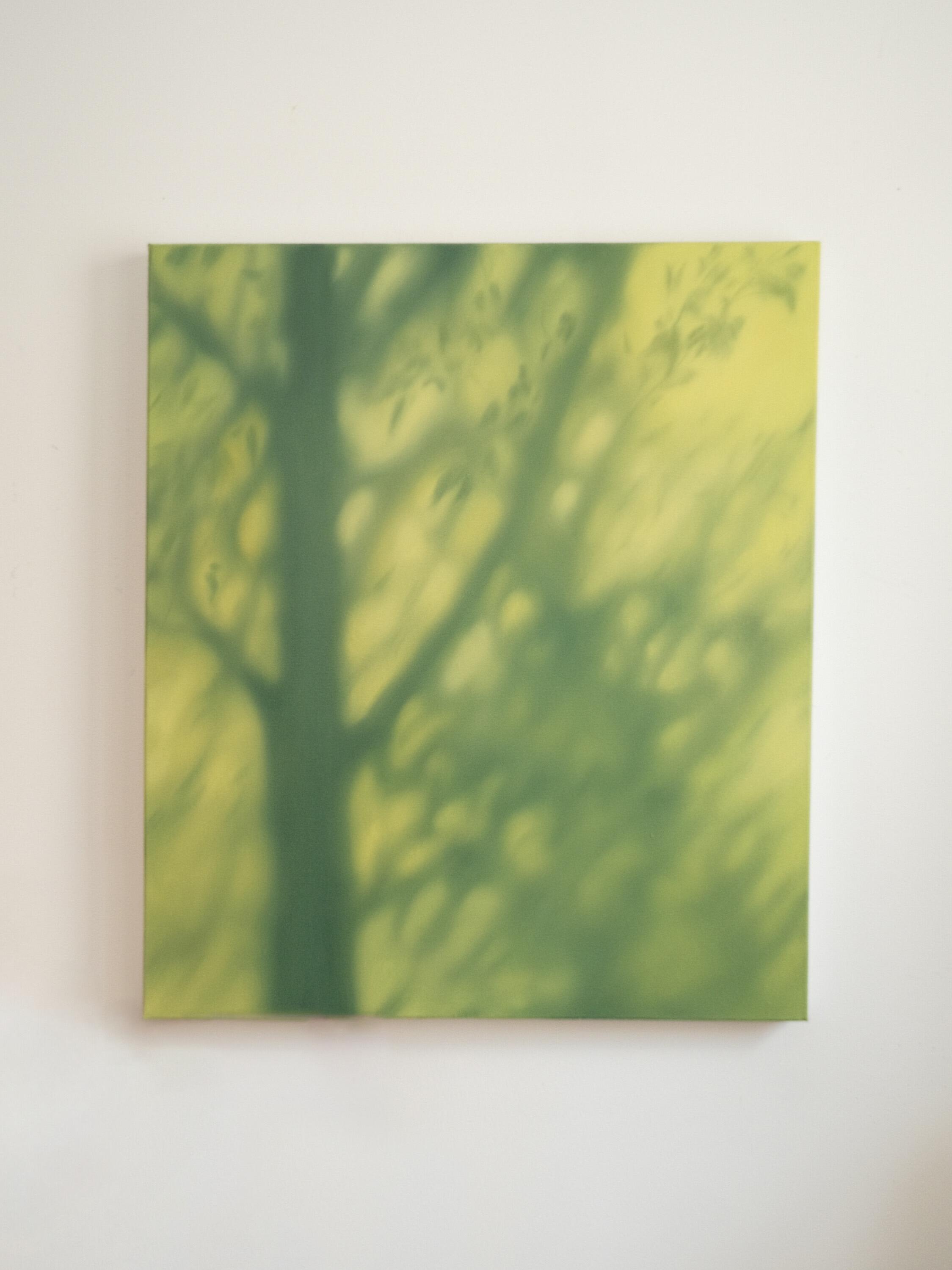 Texture & Light Oil Painting Series – Light Through Green Nian San