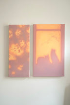 Texture & Light Oil Painting Series – Cats & Blossoms Nian San