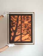 Texture & Light Oil Painting Series –Linger in Light II (Original 1/1) Nian San