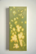 Texture & Light Oil Painting Series –Moonlight on Jade Waters Nian San