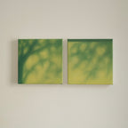 Texture & Light Oil Painting Series – Dancing Branches Set Nian San