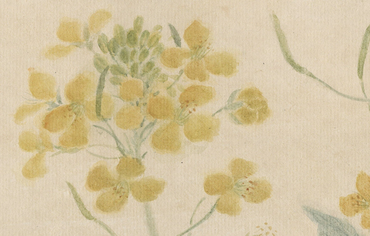 Chinese Mogu Bird-and-Flower Painting – Chasing Spring in the First Light Jing Li