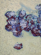 High-Temperature Glaze Ceramic Painting –Chilled Grapes I (Original 1/1) Xianyue Lee