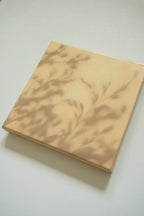 Texture & Light Oil Painting Series –Poem Written by the Wind (Original 1/1) Nian San