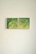 Texture & Light Oil Painting Series – Dancing Branches Set Nian San