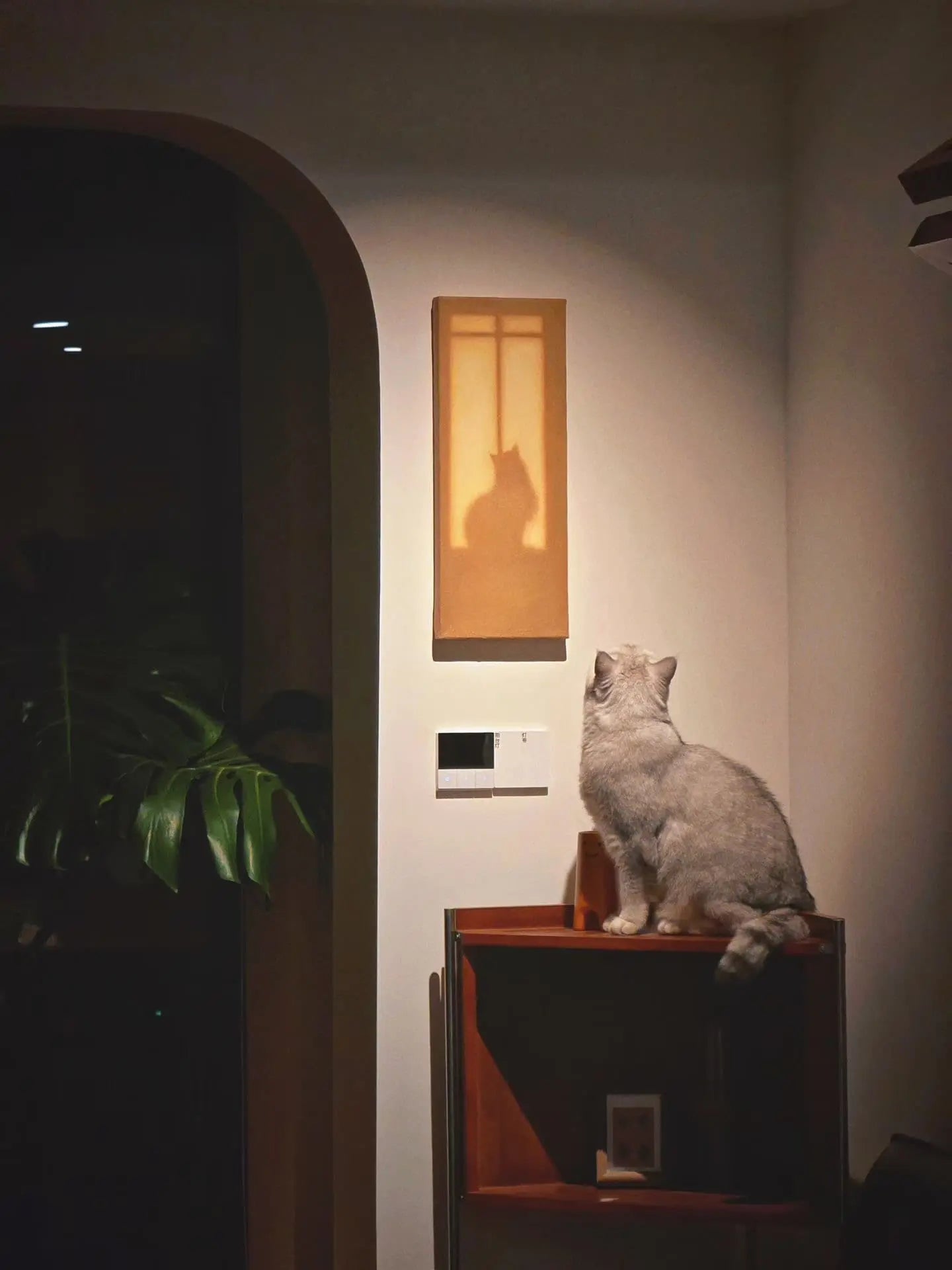 Textural Light Oil Painting Series – Cats by the Window Set I Nian San