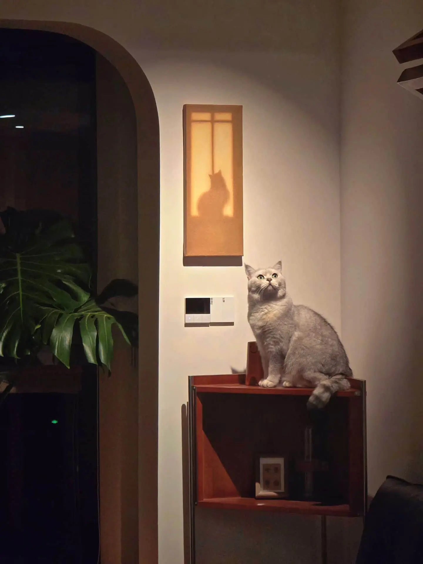 Textural Light Oil Painting Series – Cats by the Window Set I Nian San