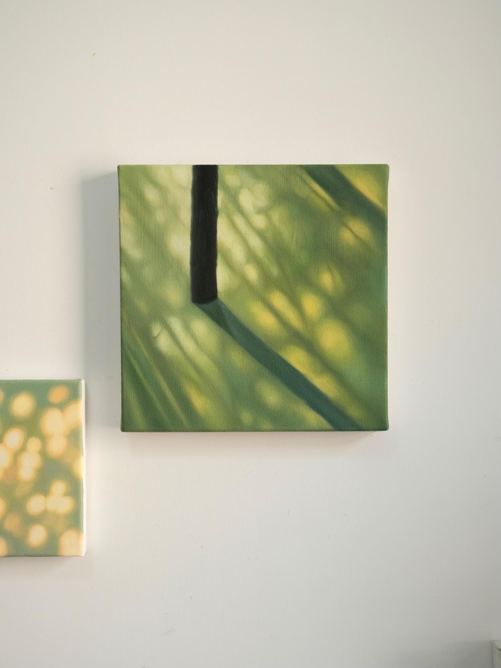 Texture & Light Oil Painting Series – Qing Mountain Lake Nian San