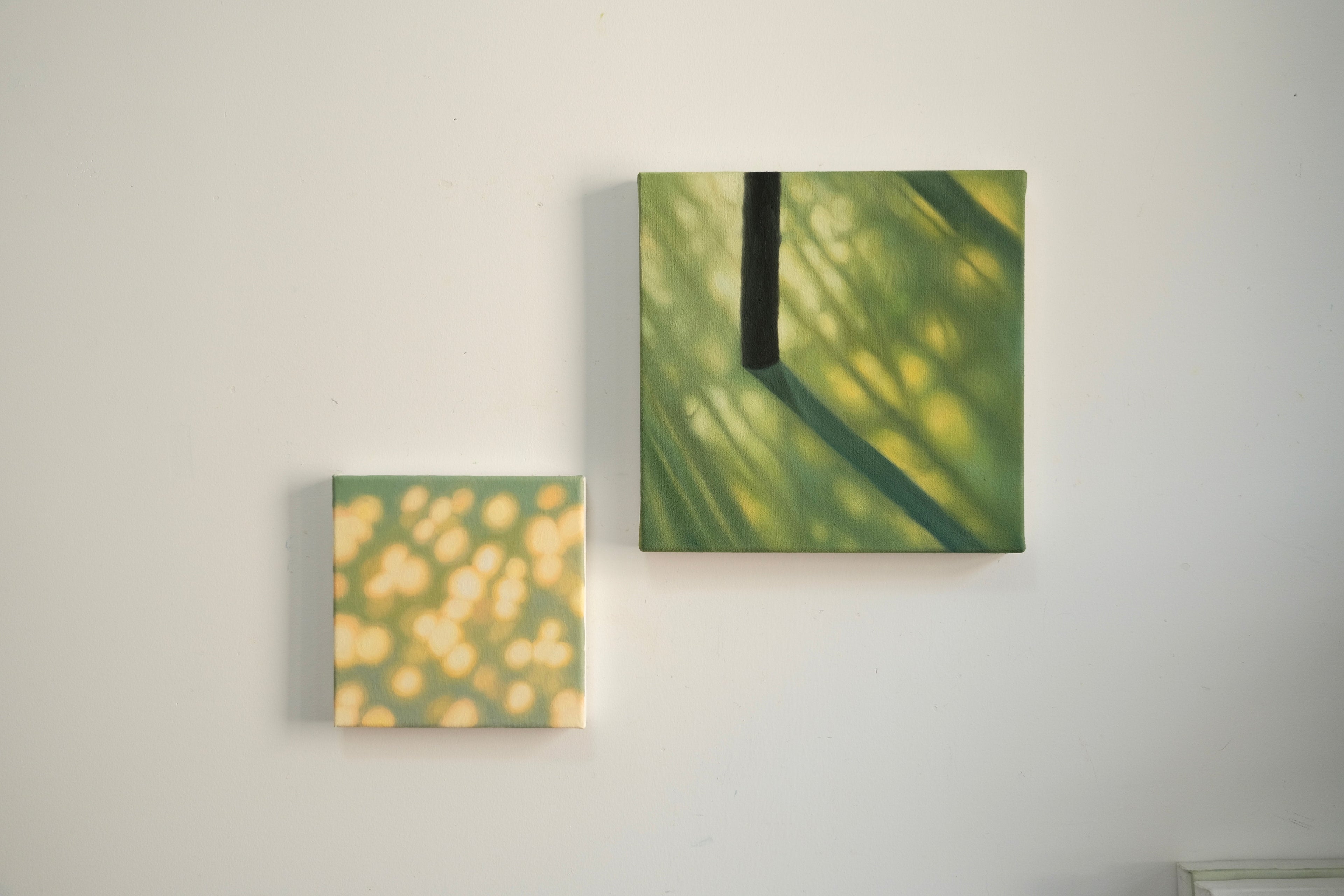 Texture & Light Oil Painting Series – Qing Mountain Lake Nian San