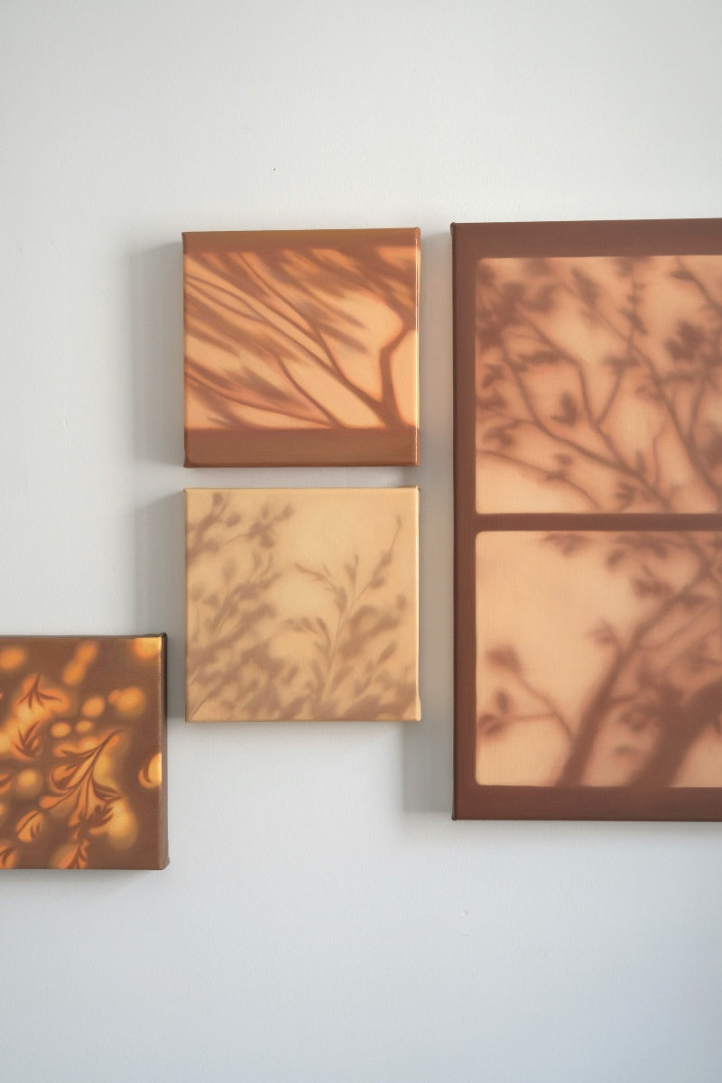 Texture & Light Oil Painting Series –Where Light Rests (Original 1/1) Nian San