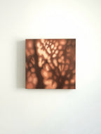 Texture & Light Oil Painting Series –The Blurred Summer (Original 1/1) Nian San