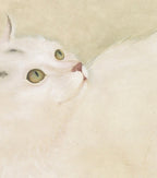 Chinese Mogu Bird-and-Flower Painting – White Cat Beneath Crape Myrtle Blossoms Jing Li