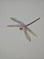 High-Temperature Glaze Ceramic Painting –Summer Lotus Reverie(Original 1/1) Xianyue Lee
