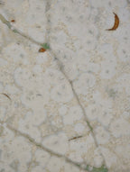 High-Temperature Glaze Ceramic Painting –A White Leaf, A Jade Lotus (Original 1/1) Xianyue Lee