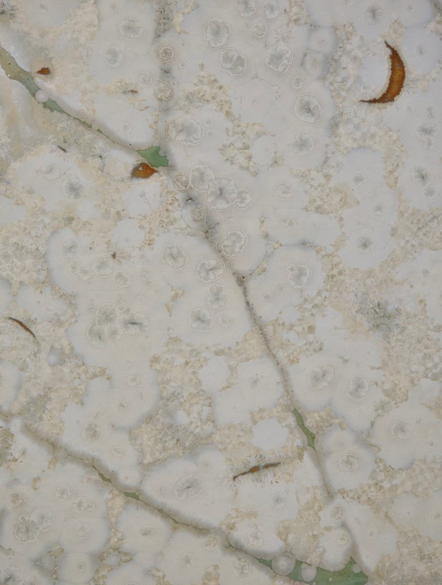 High-Temperature Glaze Ceramic Painting –A White Leaf, A Jade Lotus (Original 1/1) Xianyue Lee