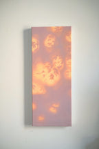 Texture & Light Oil Painting Series – Cats & Blossoms Nian San